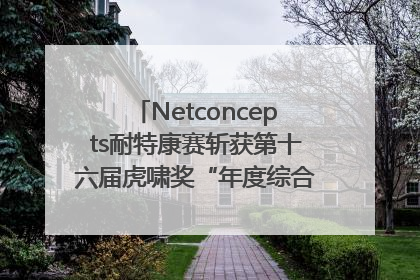 Netconcepts耐特康赛斩获第十六届虎啸奖“年度综合服务商”大奖